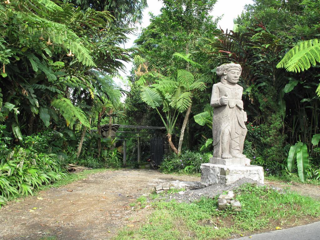Villa Wastra Payangan Exterior foto